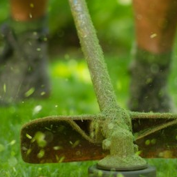 Manutenção de Jardins
