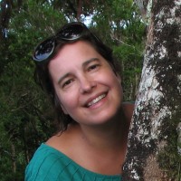 Copywriter/redatora, produção de conteúdos