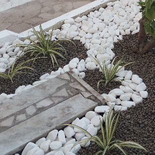 Procura jardineiros?