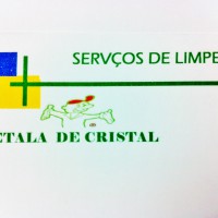 Empresa de serviços domésticos