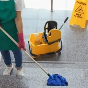 Maria Domingues Limpezas