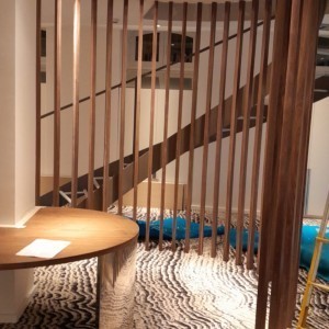 Pinto Mascarenhas Remodelações