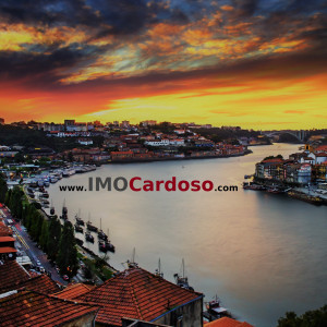 JCardoso: Design de Interiores