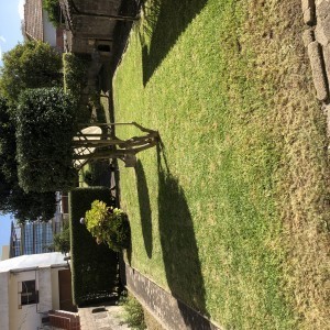Serviços por Jardinagem Rocha