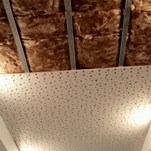 Carlos Santos Pladur