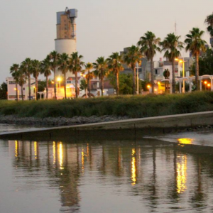 M Alves Contabilidade