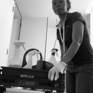 Assucena Bila Limpa Colchões