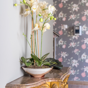 Obras M. F. | Sistema Capoto