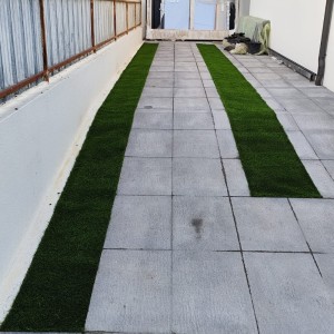 Waldeir Souza: Jardinagem