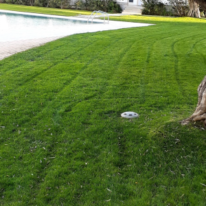 Altirlei - Jardineiros