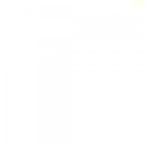 Limpeza de Casa Vinícius