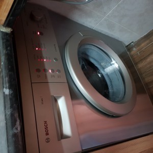 M.Silvestre Desinfestação